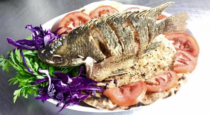 מושט מטוגן ביונס. צילום: לין לוי